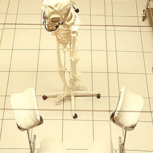 Fetisch-Klinik - Foto 7 von 18